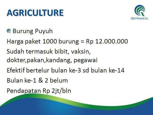 Forex qm